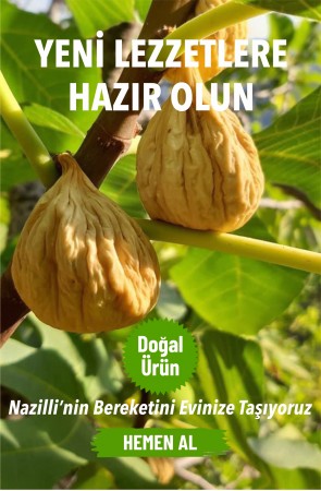 Yeni Lezzetlere Hazır Olun