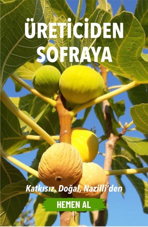 Üreticiden Sofraya