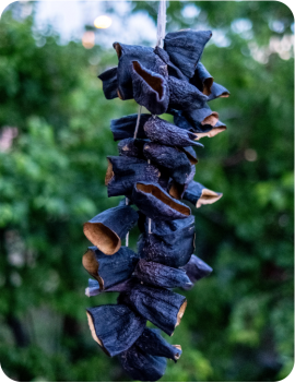 Uç Patlıcan Dolmalık